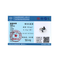 Bamoer 925 Sterling Silver Flying Dragon Series Open Ring Pterosaur Earrings Adjustable Chinese Dragon Jewelry for Women Gifts